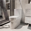 Afuera Living Compact Ceramic Toilet with Dual Flush 27.55Hx13Wx24.8D
