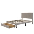 Afuera Living Queen Beige Velvet Platform Bed with Storage Drawer 500 lbs