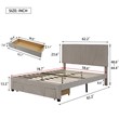 Afuera Living Queen Beige Velvet Platform Bed with Storage Drawer 500 lbs