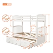 Afuera Living White Twin Bunk Bed with Ladder & Trundle & 3 Storage Drawers