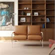Afuera Living 2-Piece Brown Faux Leather Sofa Set with Stainless Steel Frame