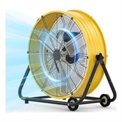 Fans