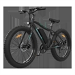 Afuera Living 500W Electric Fat Tire Bike with 36V Removable Battery