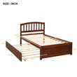 Afuera Living Contemporary Walnut Twin Platform Bed with Trundle