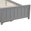 Afuera Living Contemporary Gray Twin Platform Bed with 2 Storage Drawers