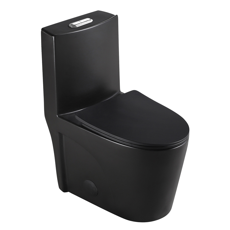 Afuera Living Contemporary One-Piece Ceramic Toilet in Black