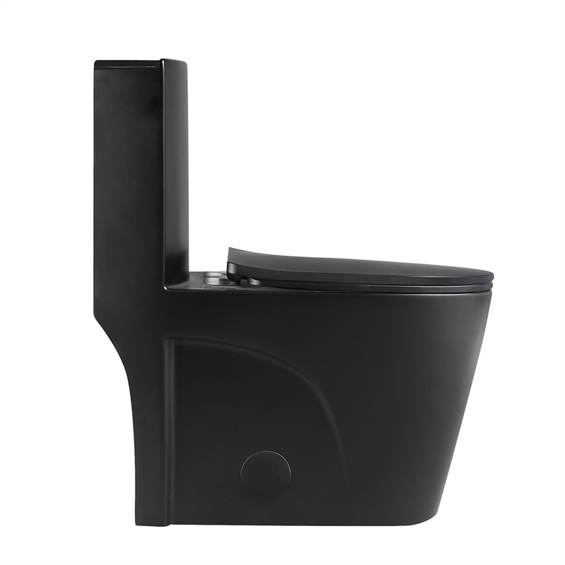 Afuera Living Contemporary One-Piece Ceramic Toilet in Black