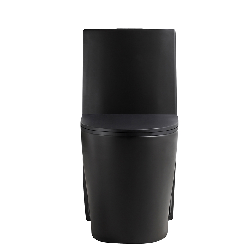 Afuera Living Contemporary One-Piece Ceramic Toilet in Black
