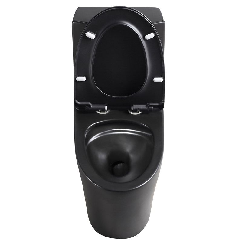 Afuera Living Contemporary One-Piece Ceramic Toilet in Black