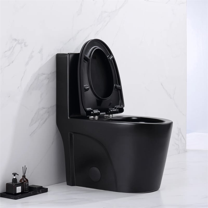 Afuera Living Contemporary One-Piece Ceramic Toilet in Black