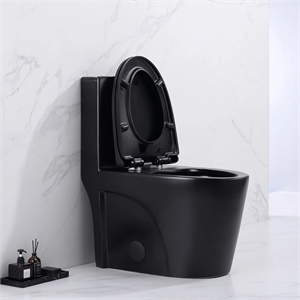 Afuera Living Contemporary One-Piece Ceramic Toilet in Black