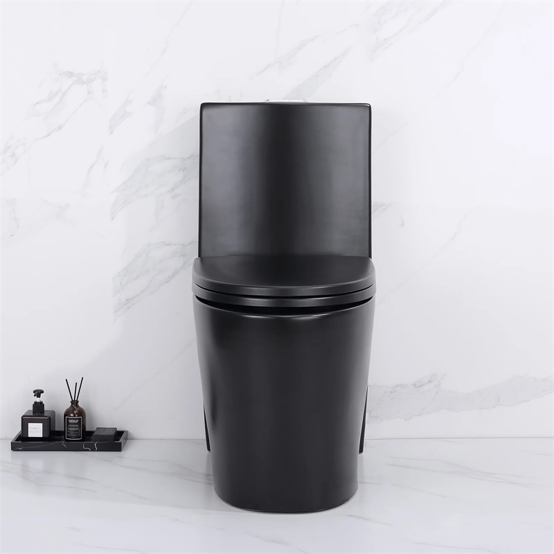 Afuera Living Contemporary One-Piece Ceramic Toilet in Black