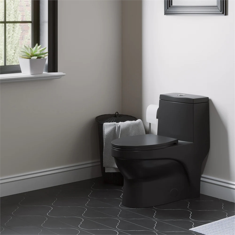 Afuera Living Contemporary One-Piece Ceramic Toilet in Black