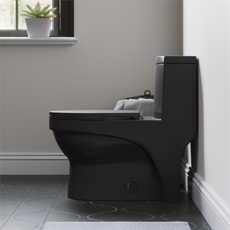 Afuera Living Contemporary One-Piece Ceramic Toilet in Black