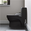 Afuera Living Contemporary One-Piece Ceramic Toilet in Black