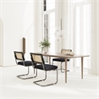 Afuera Living Black Rattan Dining Chair with Velvet Seat Set of 2
