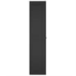 Afuera Living Polypropylene Outdoor Storage Cabinet in Black Matte