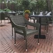 Afuera Living All-Weather Rattan Patio Chairs in Gray with Arms