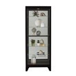 Hardwood Side-Entry 5 Shelf Curio Cabinet in Onyx Black by Pulaski Furniture