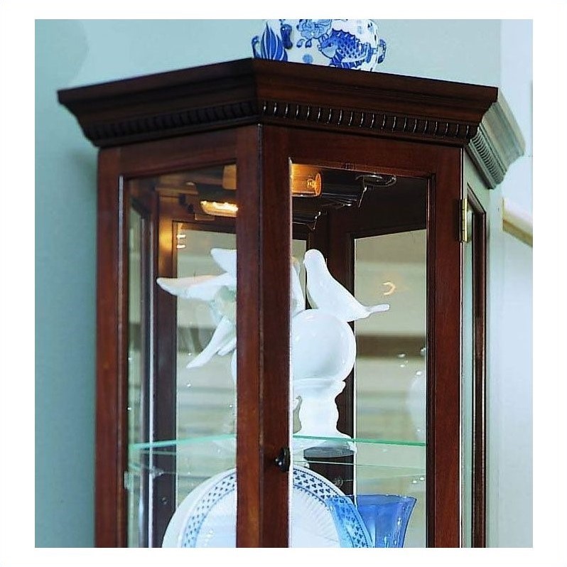 Pulaski Curios Display in Rich Brown Cymax Business