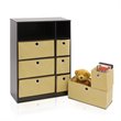 Furinno ECON Wood Storage Organizer Cabinet with Bins in Espresso/Light Brown