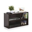Furinno INDO Engineered Wood 2x2 Petite Audio Video Storage Shelf in Espresso