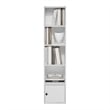 Furinno LUDER 5-Tier Shelf Bookcase with 1 Door Storage Cabinet in White