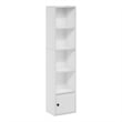 Furinno LUDER 5-Tier Shelf Bookcase with 1 Door Storage Cabinet in White