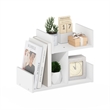 Furinno HERMITE Wooden Desktop Bookshelf Storage Organizer for Home and White