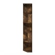 Furinno ECON 5-Tier Freestanding Corner Shelf Bookcase in Bookshelf Amber Pine