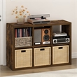 Furinno CUBICLE Vintage Vinyl Record Media Storage Organizer 6-Cube Amber Pine