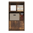 Furinno GRUEN 3-Tier Open Shelf and Doors Bookcase 9.3 x 21.8 x 39.5 Amber Pine