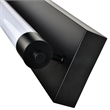 Procyon 24
