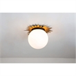 Lucas McKearn Soleil 15