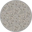 Radici USA Pisa Botanical Floral Gray 7'10