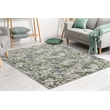 Livigno 1242 Transitional Floral Green Polypropylene Area Rug 3'3
