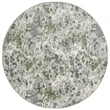 Livigno 1242 Transitional Floral Green Round Polypropylene Area Rug 5'3