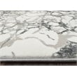Livigno 1240 Transitional Marbled Grey Polypropylene Area Rug 5'3