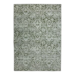 Livigno 1244 Transitional Abstract Green 8x10 Polypropylene Area Rug