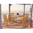 AECN5C5NA - Bistro Table with 4 Folding Patio Chairs- Natural Oil Finish