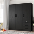 Better Home Product Violet Engineered Wood Wardrobe Armoire Closet in Black