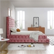 Eleonora Queen Size Luxurious Upholstered Velvet Bed in Pink Color