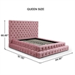Eleonora Queen Size Luxurious Upholstered Velvet Bed in Pink Color