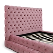 Eleonora Queen Size Luxurious Upholstered Velvet Bed in Pink Color