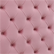 Eleonora Queen Size Luxurious Upholstered Velvet Bed in Pink Color