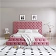 Eleonora King Size Luxurious Upholstered Velvet Bed in Pink Color