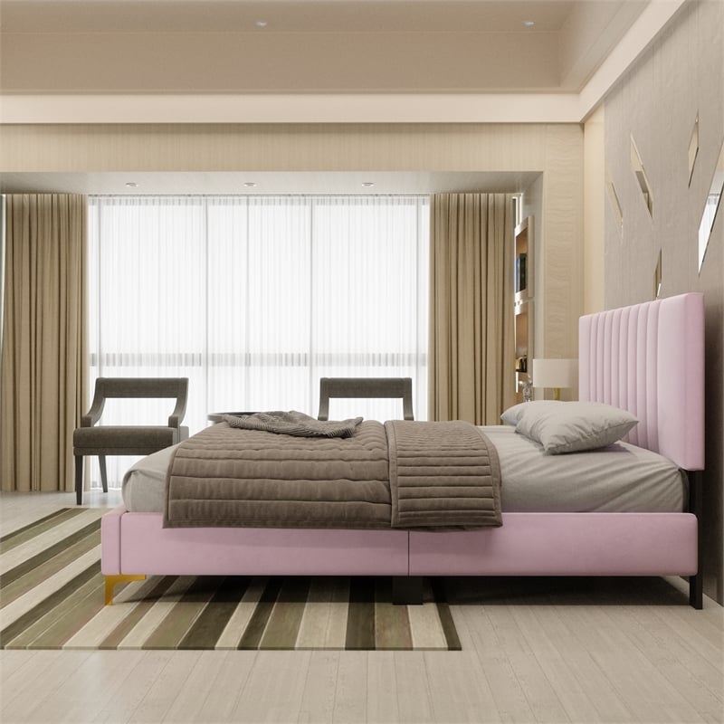 Dean Upholstered Velvet Queen Size Bed in Pink with Gold Metal Legs