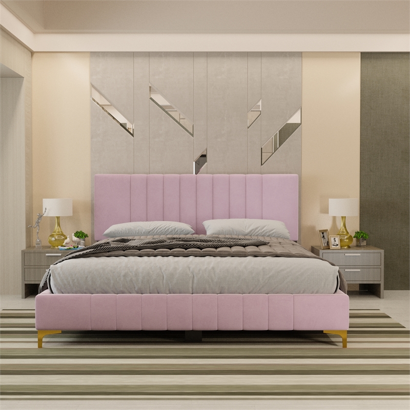 Dean Upholstered Velvet Queen Size Bed in Pink with Gold Metal Legs