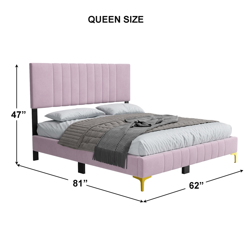 Dean Upholstered Velvet Queen Size Bed in Pink with Gold Metal Legs