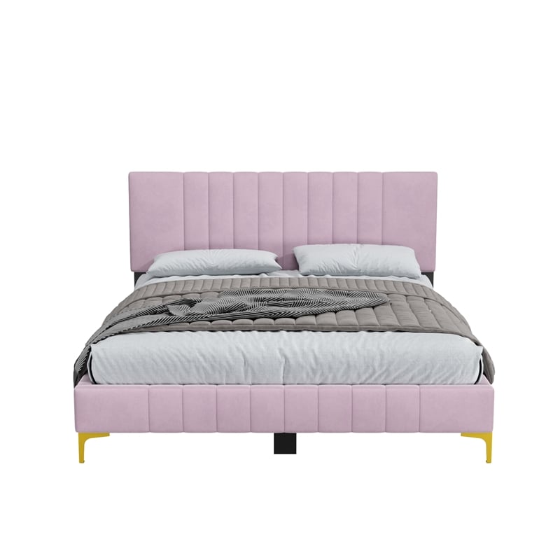 Dean Upholstered Velvet Queen Size Bed in Pink with Gold Metal Legs